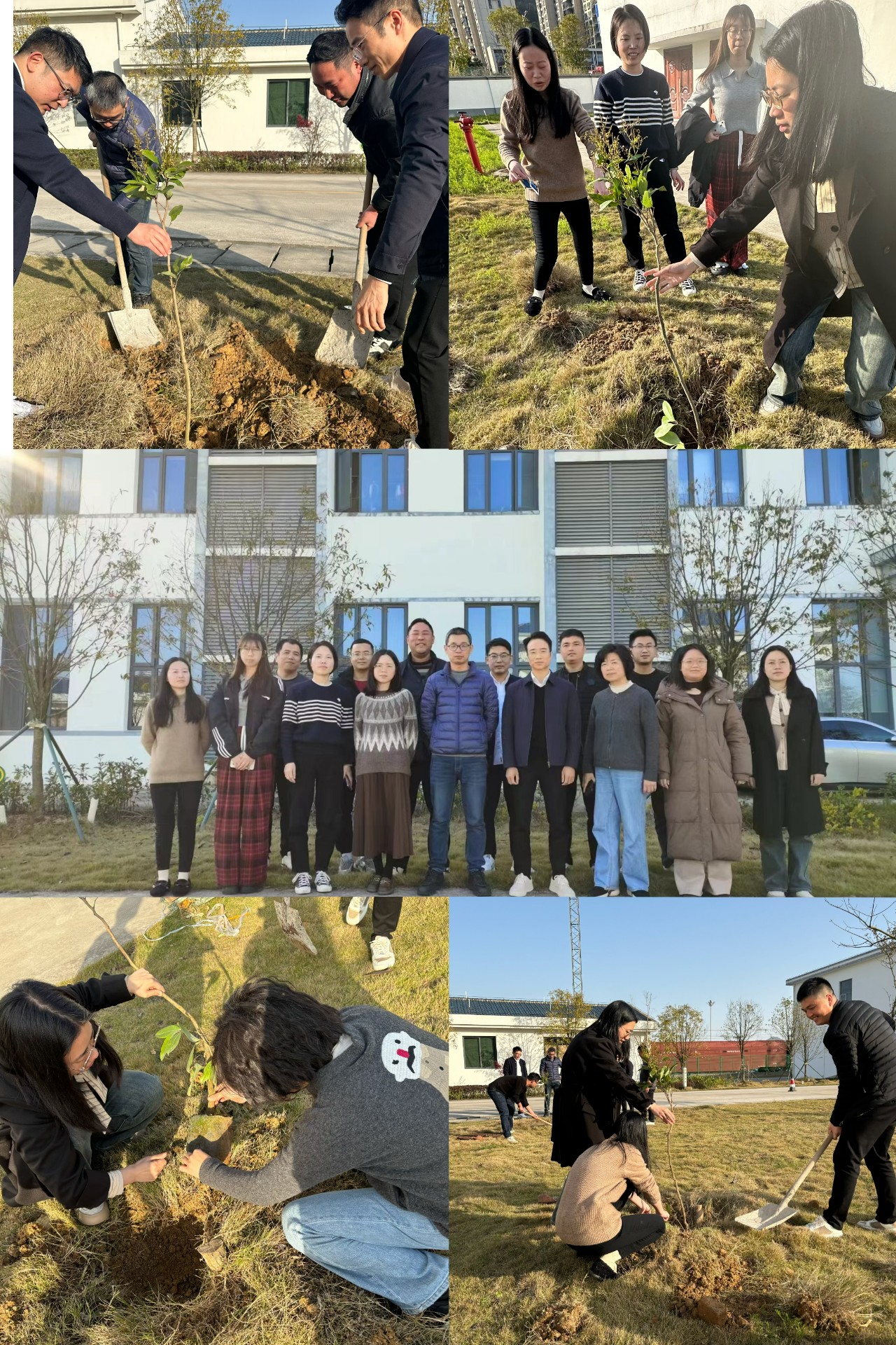 2024-3-12綠色陸港，美麗寧德，阮克妙拍攝.jpg